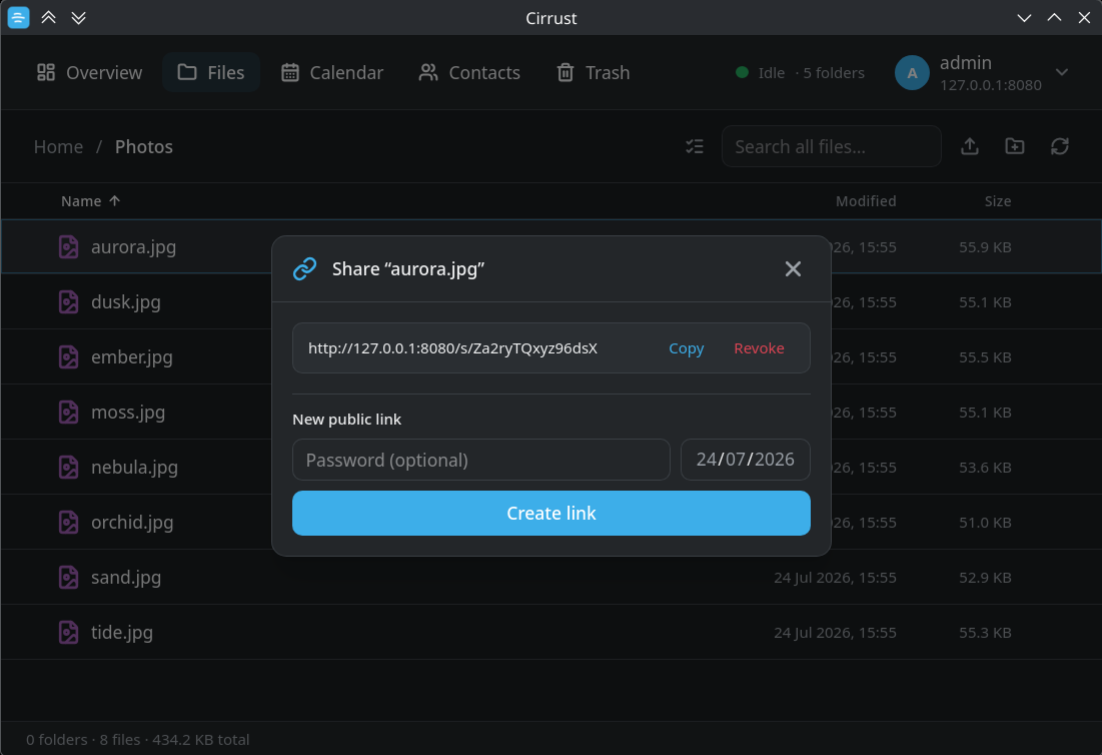 Cirrust share dialog showing an existing public link with Copy and Revoke, plus password and expiry fields